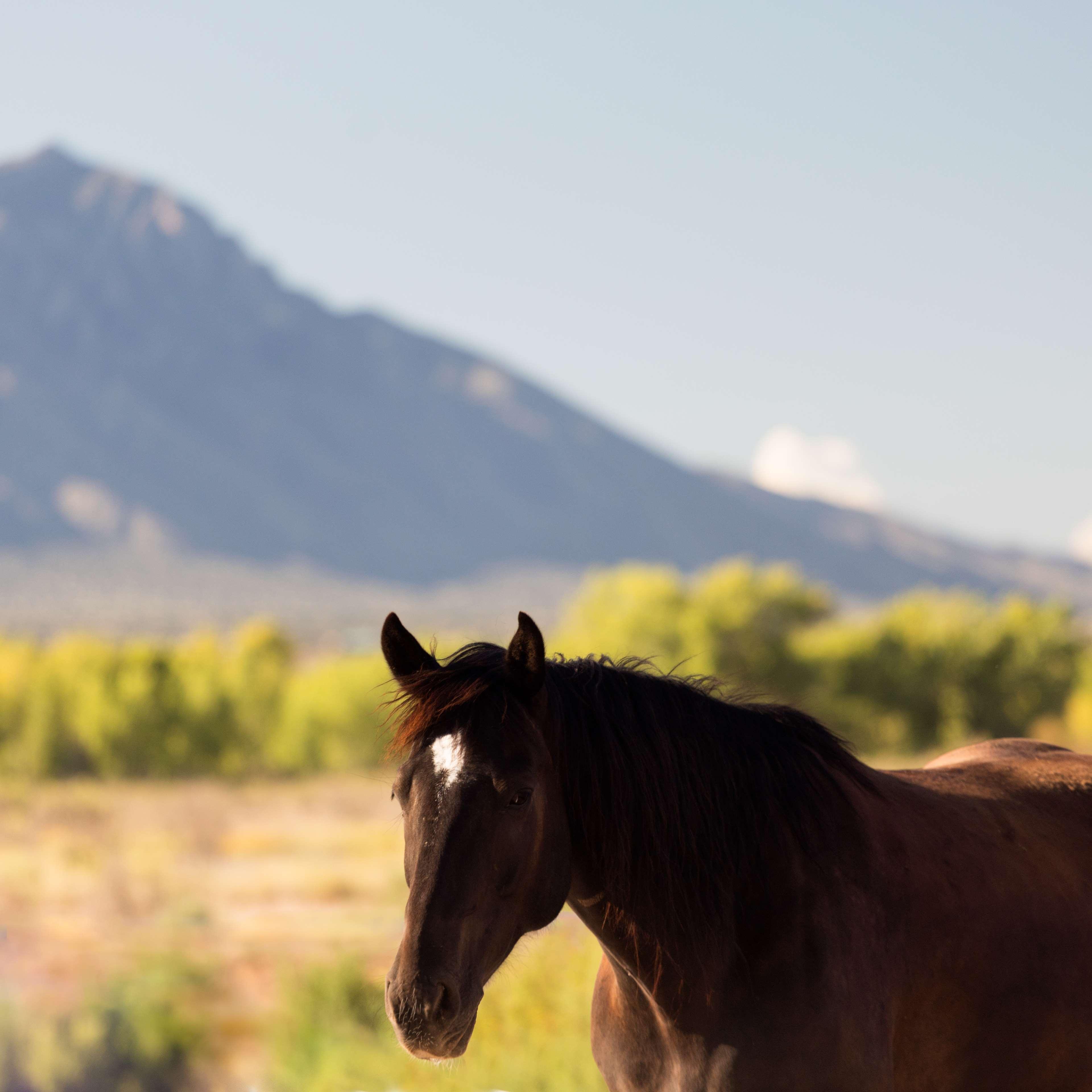 Hyatt Regency Tamaya South Santa Fe Santa Ana Pueblo Εξωτερικό φωτογραφία